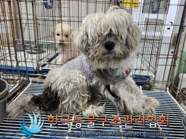 한국동물구조관리협회_441406202301889